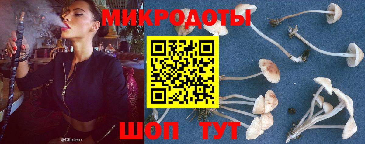 Псилоцибиновые грибы Magic Shrooms Электрогорск
