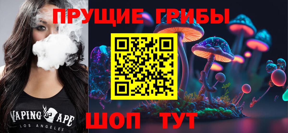 Электрогорск  Псилоцибиновые грибы прущие грибы  Вход с VPN 